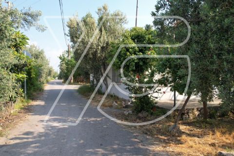 erdemli kargıcak mahallesinde satılık müstakil ve tarla