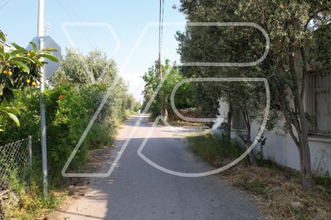 erdemli kargıcak mahallesinde satılık müstakil ve tarla